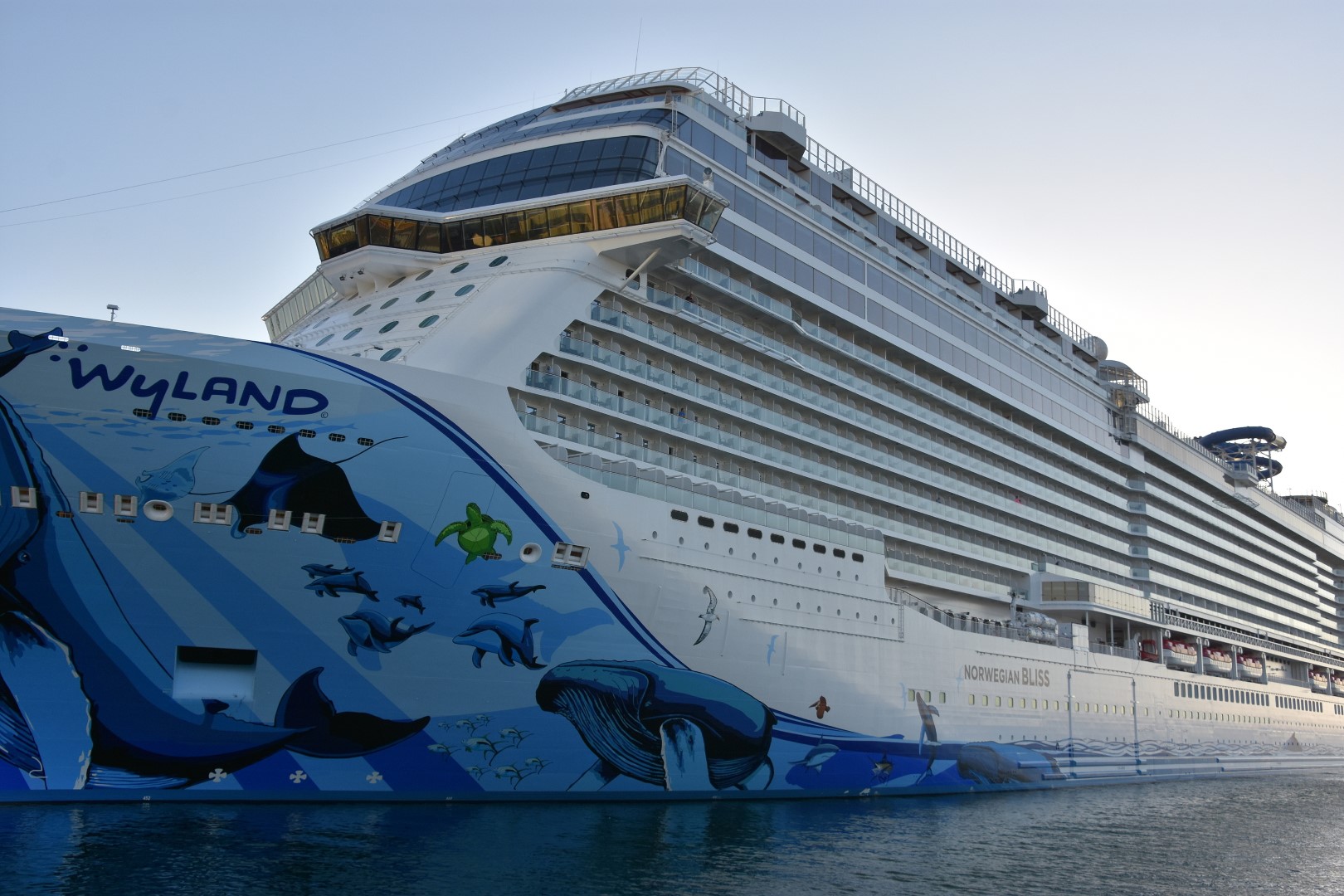 San Diego Airport Parking Companies Fox Auto Parks